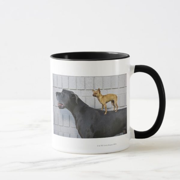Chihuahua on Great Dane's back Mug