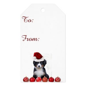 Christmas Bernese Mountain Dog gift tags