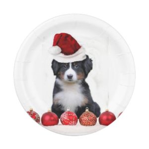 Christmas Bernese Mountain Dog Paper Plate