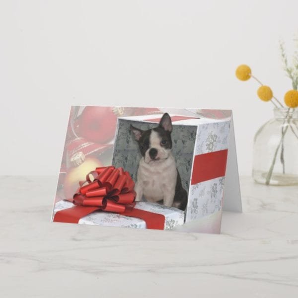 Christmas Boston Terrier Greeting Card