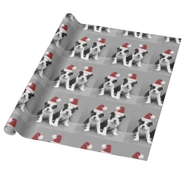 Christmas Boston Terrier puppies Wrapping Paper