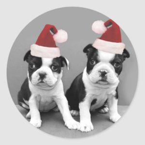 Christmas Boston Terriers Classic Round Sticker