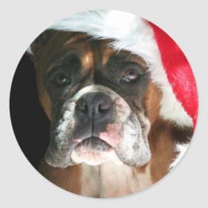 Christmas Boxer Dog stickers