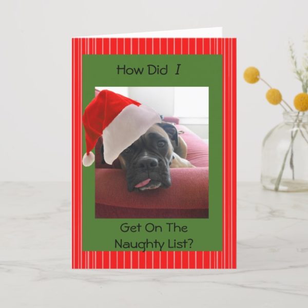 Christmas Boxer Holiday Card