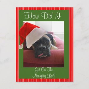 Christmas Boxer Holiday Postcard