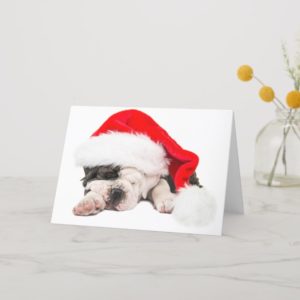 Christmas card english bulldog puppy Santa's hat