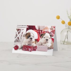 Christmas English Bulldogs Happy Holidays Card