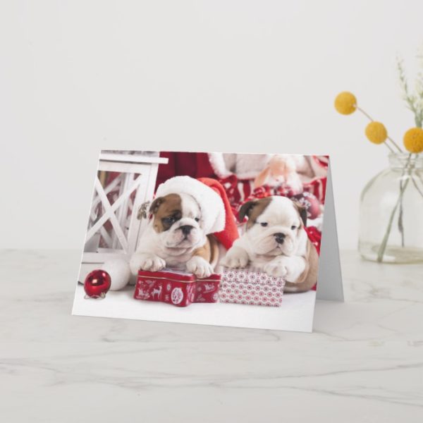 Christmas English Bulldogs Happy Holidays Card