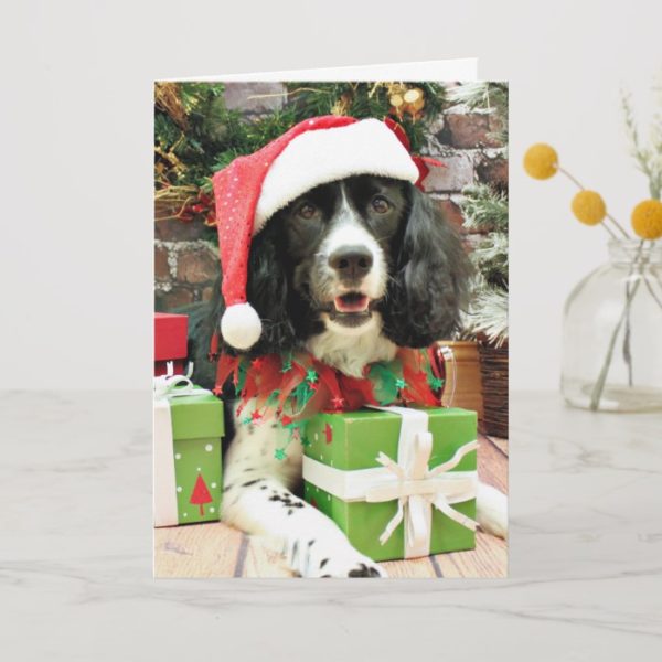 Christmas - English Springer Spaniel - Lucy Holiday Card