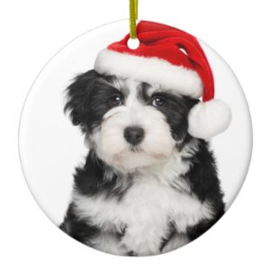 Christmas Havanese Puppy Dog Ceramic Ornament