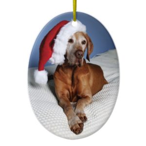 Christmas Ornament (Flynn)