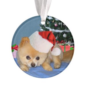 Christmas, Pomeranian Dog, Santa Hat Ornament