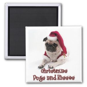Christmas Pugs and Kisses Magnet