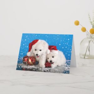 Christmas Puppies White Pomeranian Spitz Holiday Card