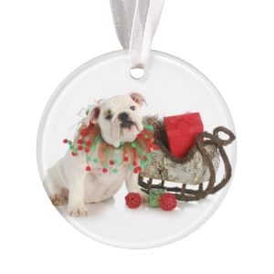 Christmas Puppy - English Bulldog Puppy Sitting Ornament