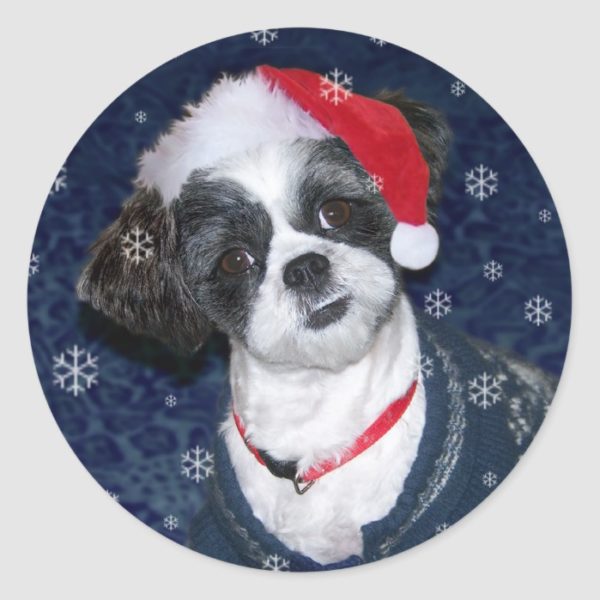 Christmas Shih Tzu Dog Classic Round Sticker