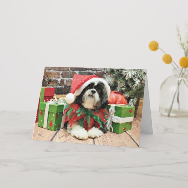 Christmas - Shih Tzu - Riley Holiday Card