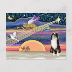 Christmas Star - Australian Shepherd (Tri) Holiday Postcard