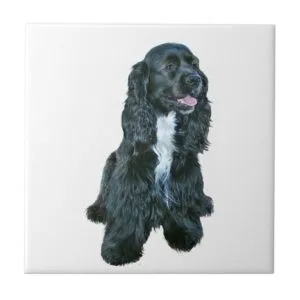 Cocker Spaniel - Black #2 Ceramic Tile