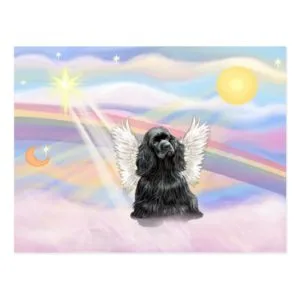 Cocker Spaniel - black Postcard