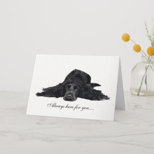 Cocker Spaniel Card