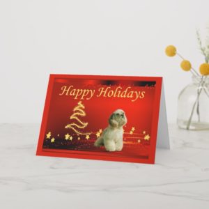 Cocker Spaniel Christmas Card Stars