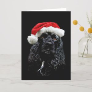 Cocker Spaniel Christmas Holiday Card