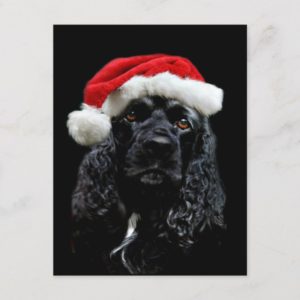 Cocker Spaniel Christmas Holiday Postcard