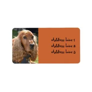 Cocker Spaniel Photo Address Label