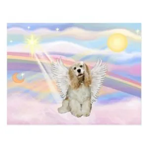 Cocker Spaniel Postcard