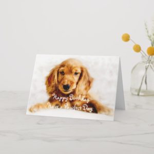 Cocker Spaniel Puppy Happy Birthday Greeting Card