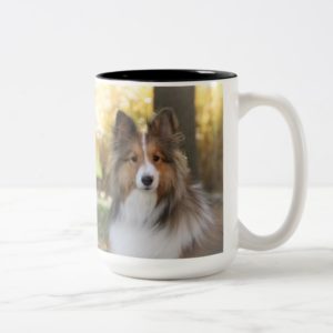 Coffee Mug - Sheltie