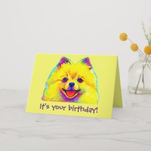 Colorful Happy Birthday Pomeranian Card