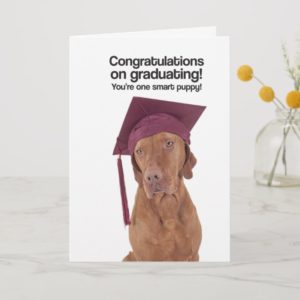 Congrats on Graduating (Vizsla) - Greeting Card