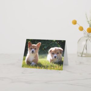 Corgi (Pembroke Welsh) Puppy Dog Note Card