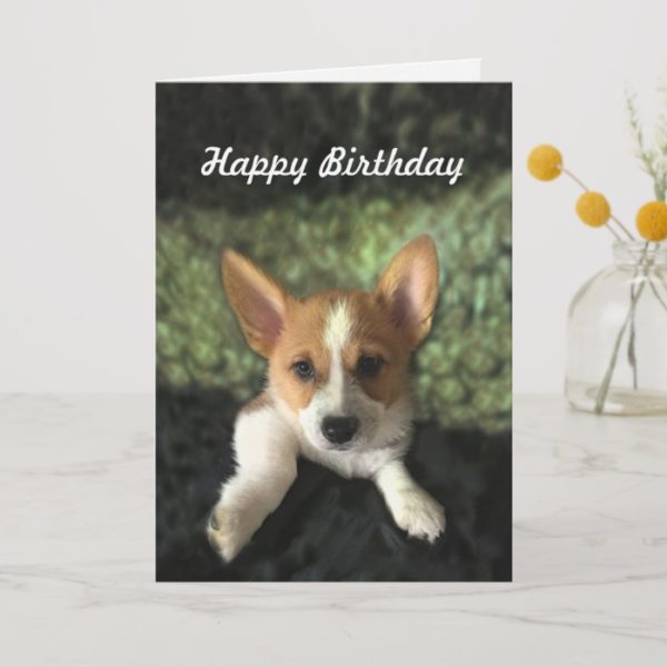 Corgi Puppy Happy Birthday Card