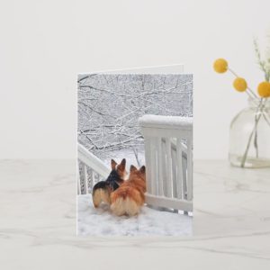 Corgis in the Snow Holiday Card