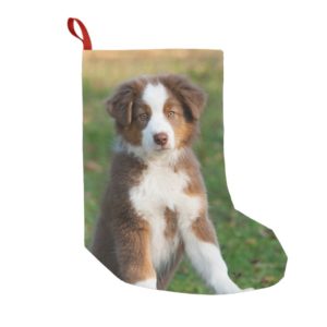 Cute Australian Shepherd Dog Puppy - Santa mantle Small Christmas Stocking