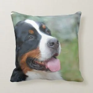 Cute Bernese Pillow