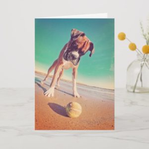 Cute boxer dog beach and ball blank greeting card