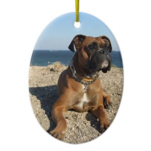 Cute Boxer Dog Ornament