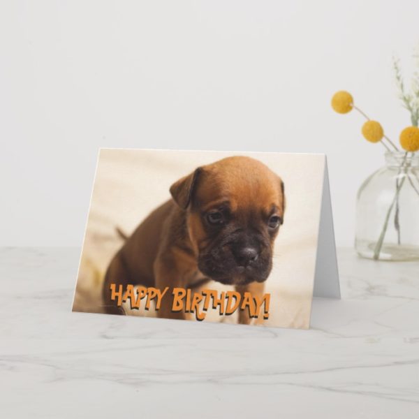 Cute boxer puppy birthday card