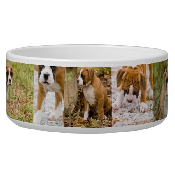 Cute Boxer Puppy Photo Dog Collage Food Water Bowl