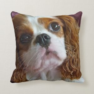 Cute Cavalier King Charles Spaniel cushion pillow