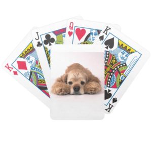 Cute Cocker Spaniel Bicycle Playing Cards