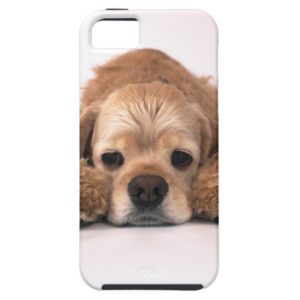 Cute Cocker Spaniel Case-Mate iPhone Case
