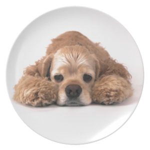 Cute Cocker Spaniel Plate
