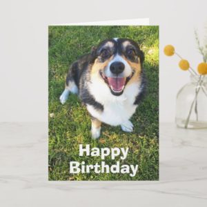 Cute Corgi Birthday Card