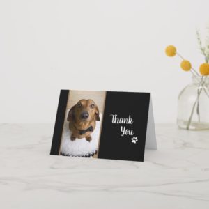 Cute Dachshund Thank You Card