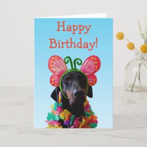 Cute Doberman dog butterfly birthday Card